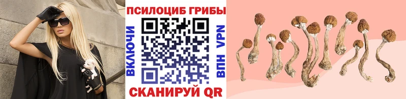 Галлюциногенные грибы прущие грибы  Кондопога 