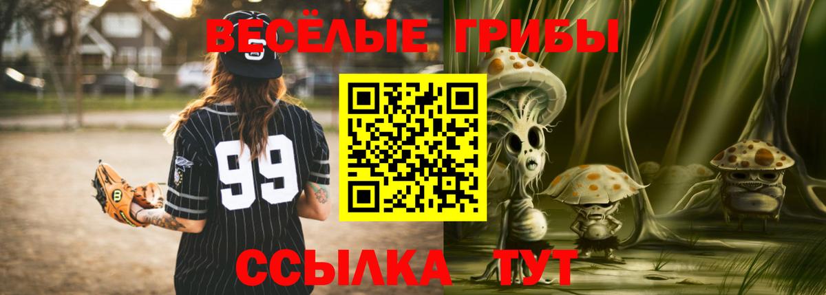 Кондопога  Псилоцибиновые грибы мицелий  Вход с VPN  где продают наркотики  Псилоцибиновые грибы MAGIC MUSHROOMS 