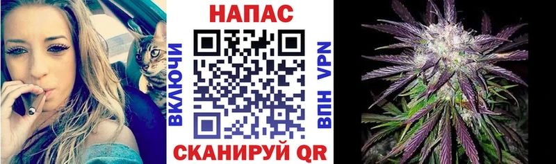 Канабис план  даркнет сайт  Кондопога 
